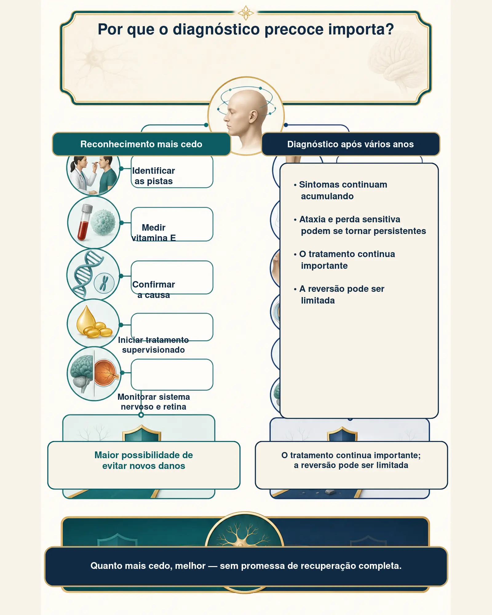 Infográfico com linha do tempo mostrando por que o diagnóstico precoce da AVED pode modificar sua evolução