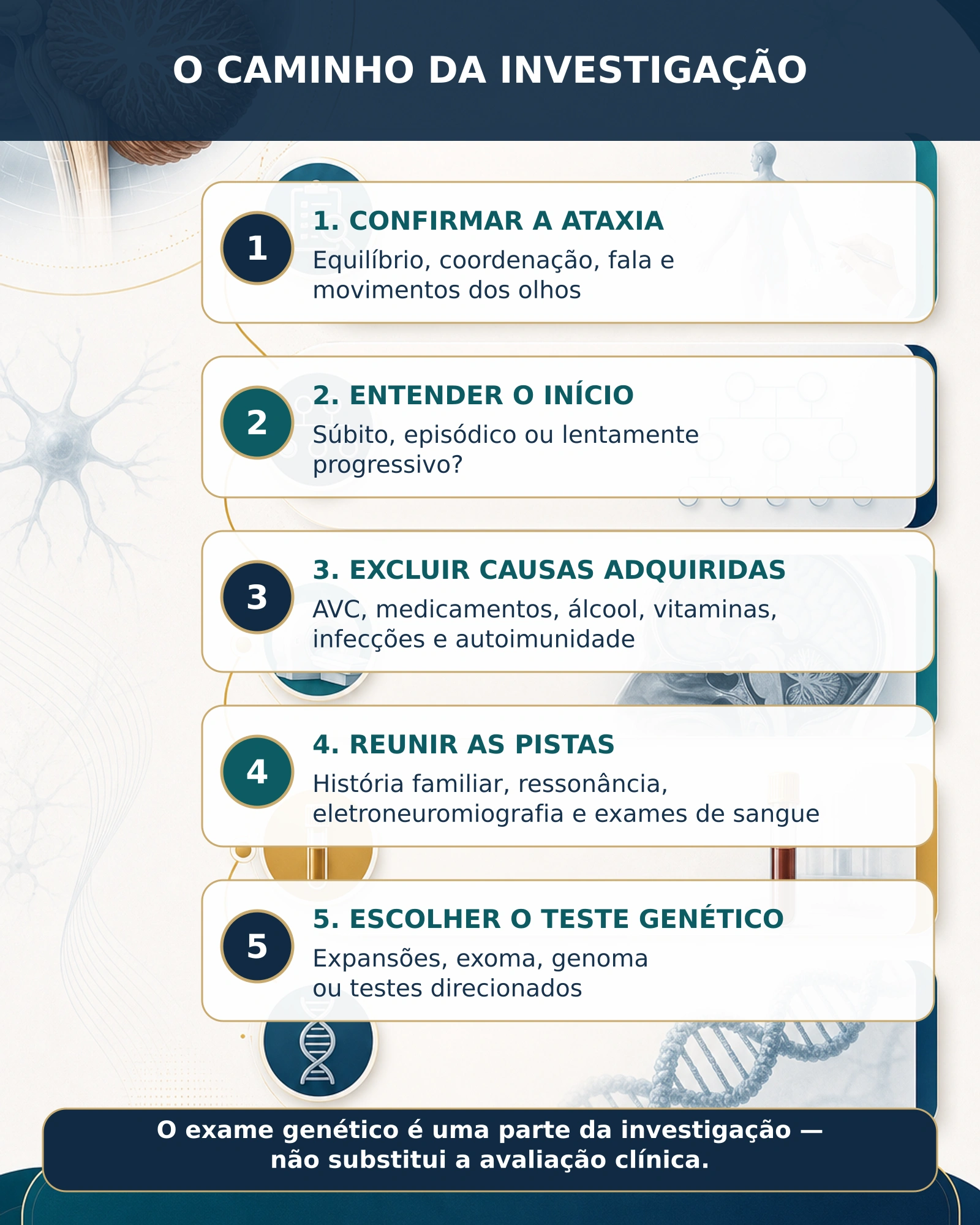 Infográfico sobre as etapas da investigação de uma ataxia cerebelar