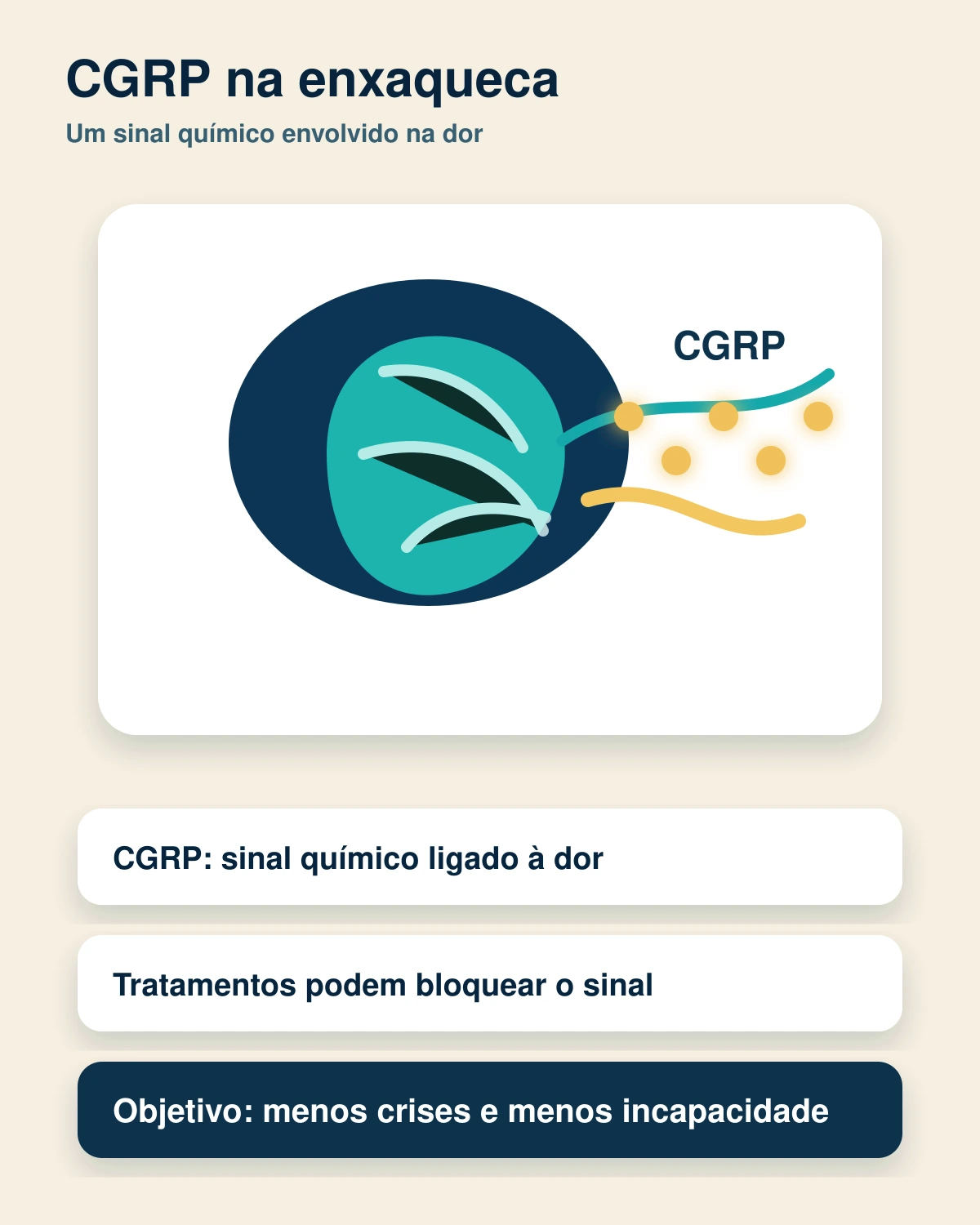 Imagem educativa com texto mostrando a via do CGRP e o cérebro sensível na enxaqueca