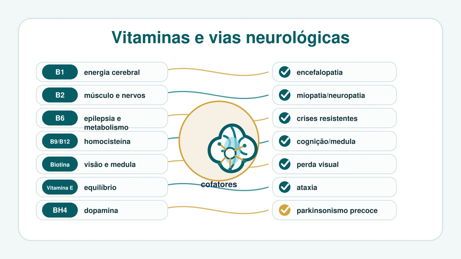 Mapa visual com vitaminas B1, B2, B6, B9, B12, biotina, vitamina E e BH4 conectadas a sintomas neurológicos