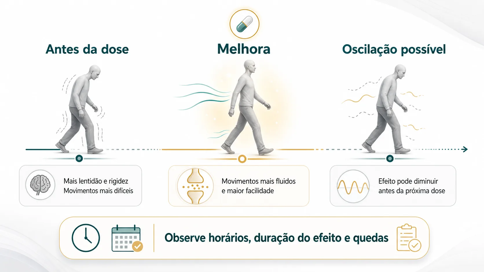 Ilustração didática mostrando o ciclo diário de resposta à levodopa: antes da dose, período de melhora e possível oscilação