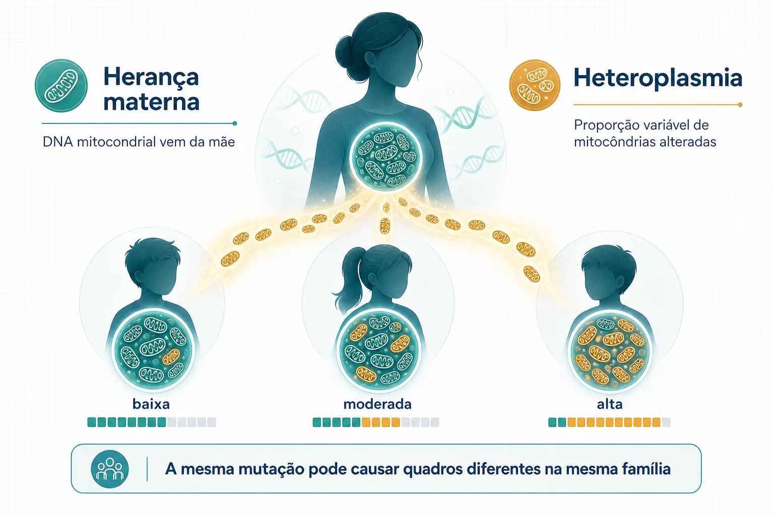 Infográfico sobre herança materna mitocondrial e heteroplasmia na síndrome MELAS.