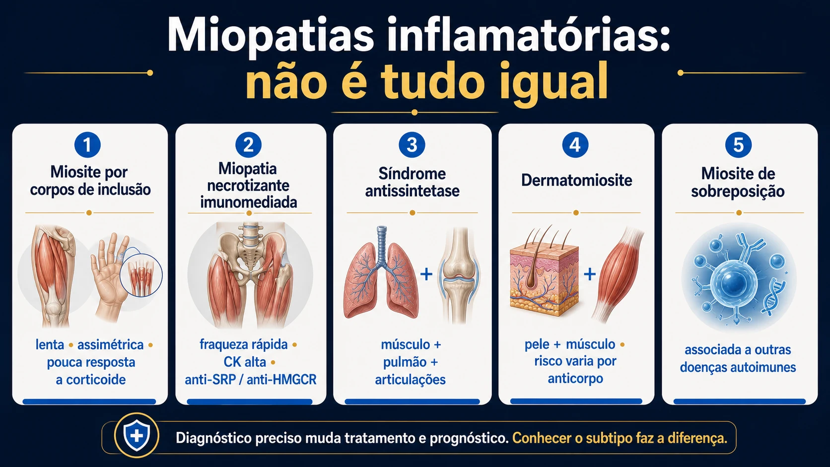 Mapa dos principais tipos de miopatias inflamatórias