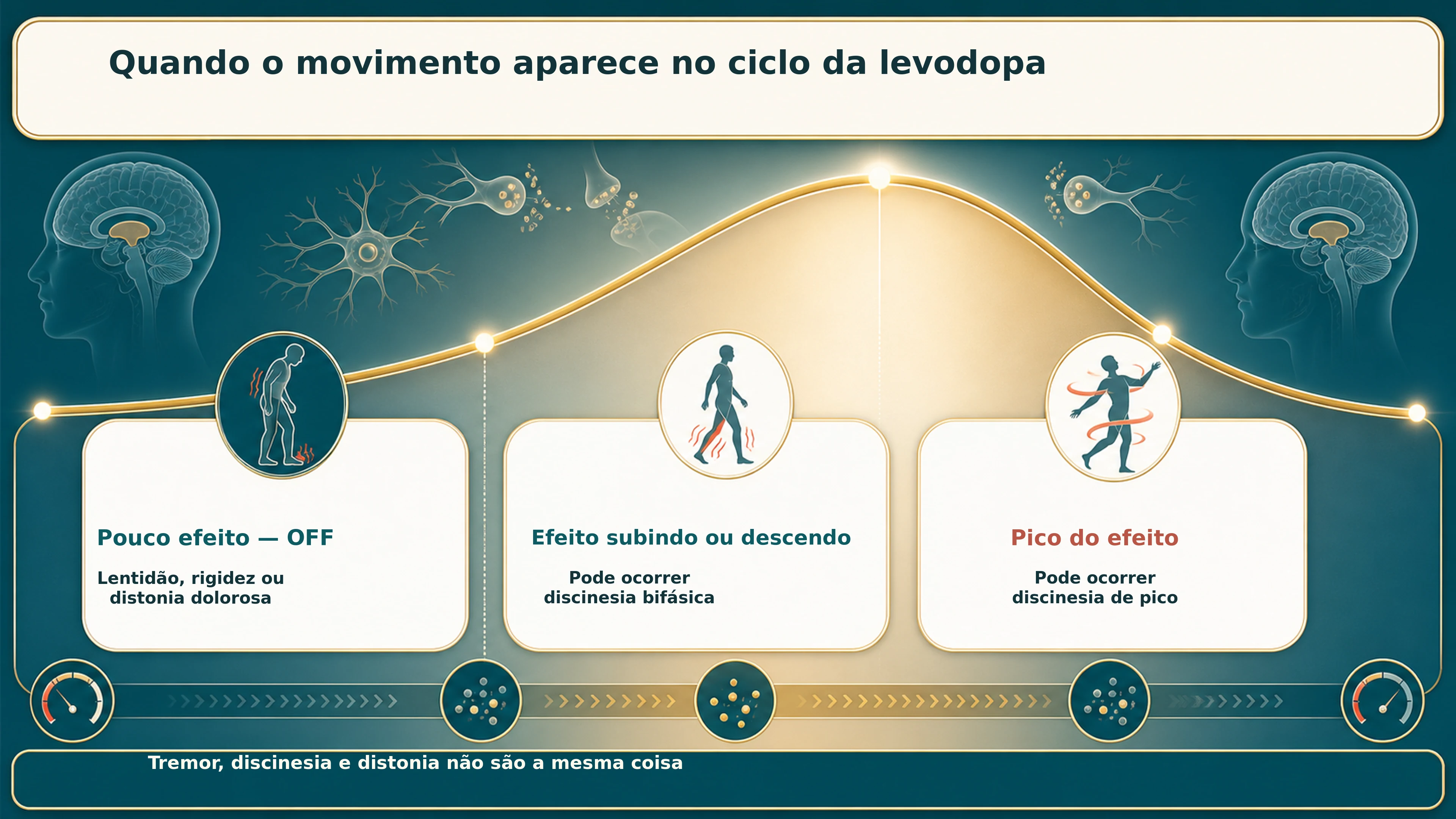 Curva do efeito da levodopa mostrando OFF, discinesia bifásica e discinesia de pico