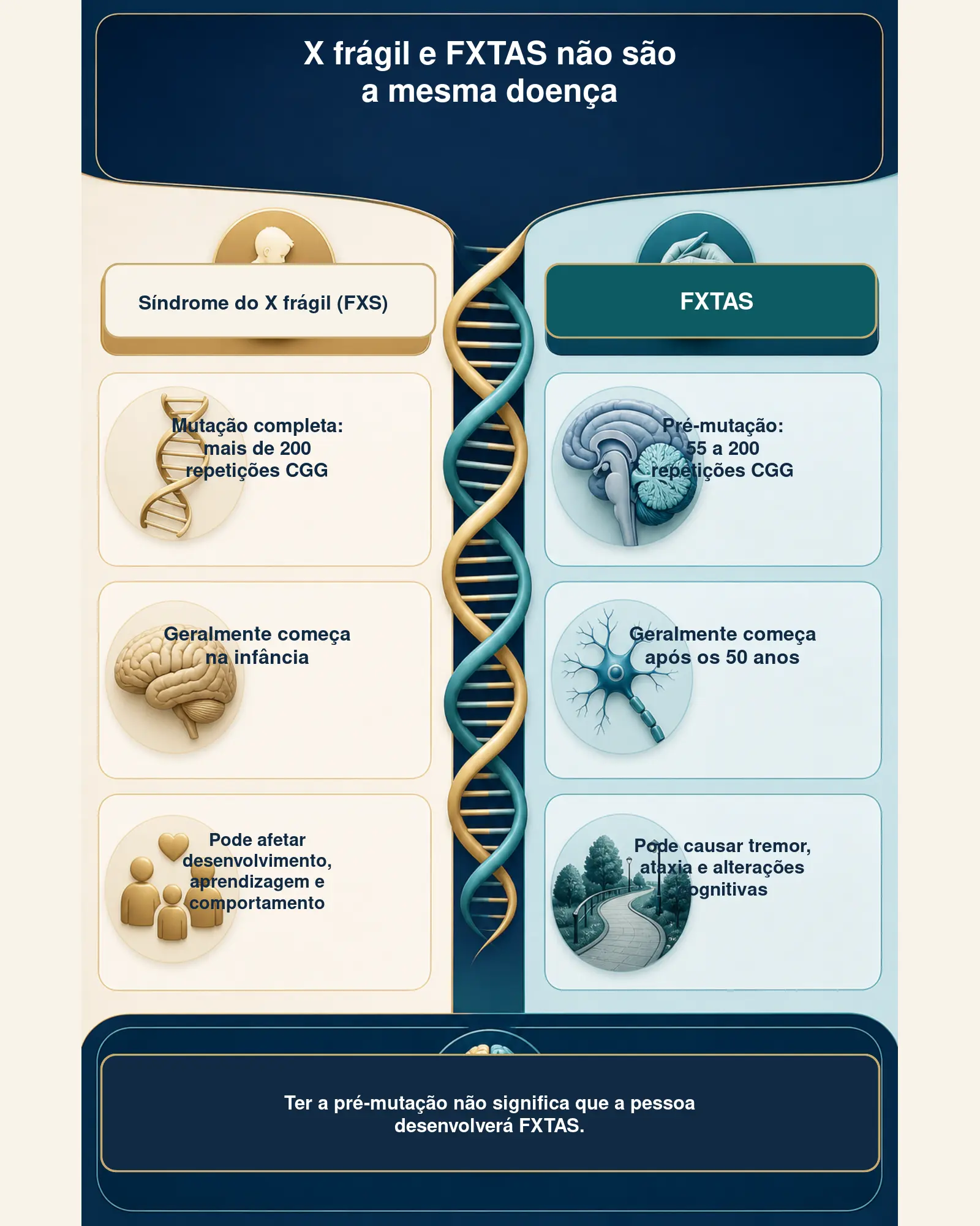 Infográfico comparando síndrome do X frágil e FXTAS