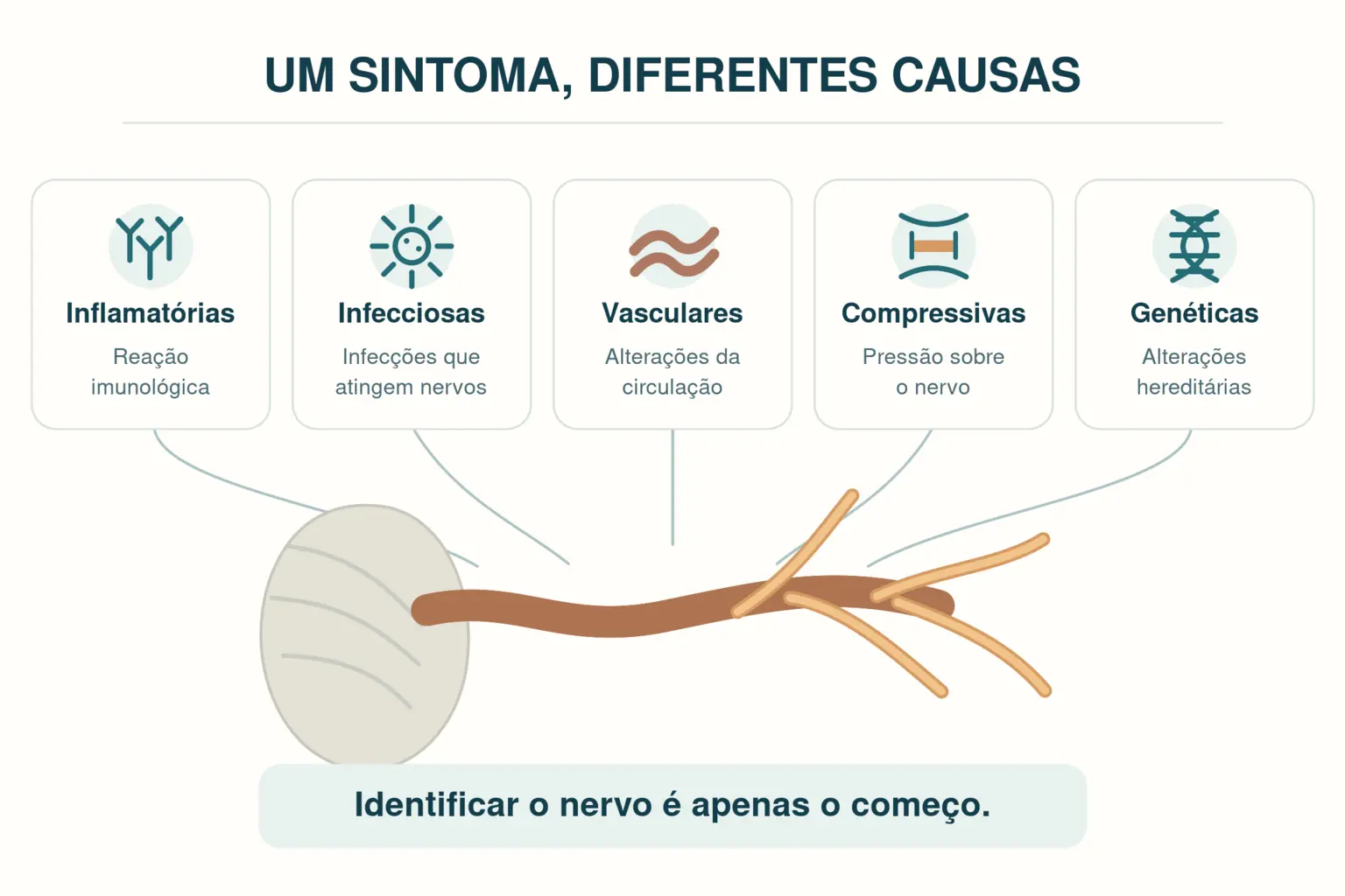 Infográfico com causas inflamatórias, infecciosas, vasculares, compressivas e genéticas de sintomas cranianos