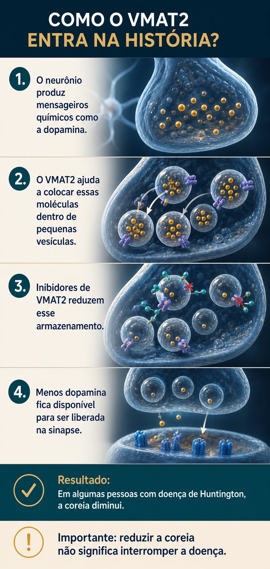 Como os inibidores de VMAT2 reduzem a disponibilidade de dopamina nas vesículas nervosas